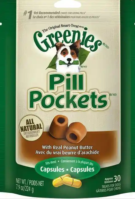 Dog treat for pills store