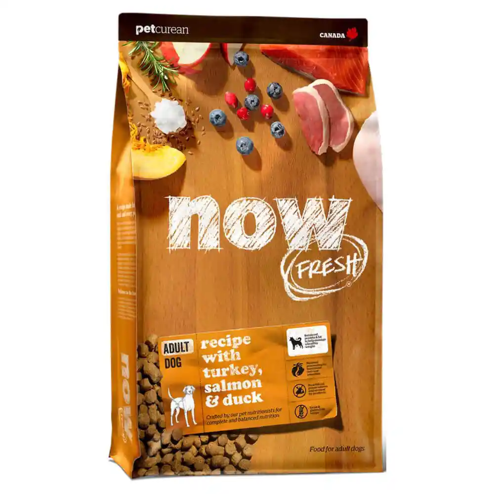 Now Frsh Gf Adlt Dog 22#