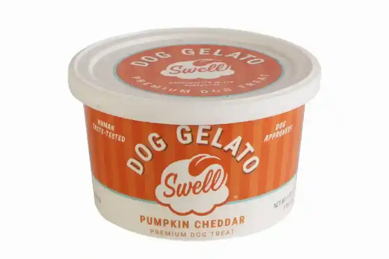 Swell Gelato Frozen Pumpkin Cheddar 4 oz
