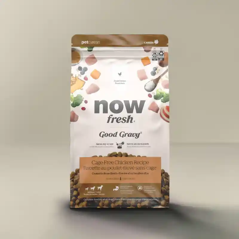 Now Gg Adult Chicken Wg 22# Dog Fg00640 Petcurean 49/plt