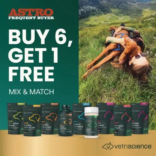 Promotion Image