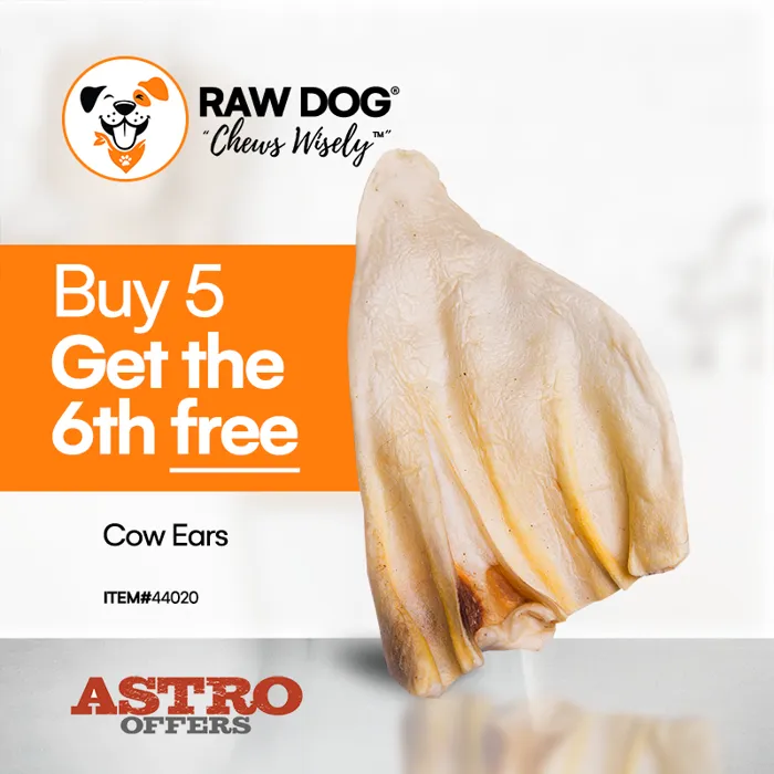 Promotion Image