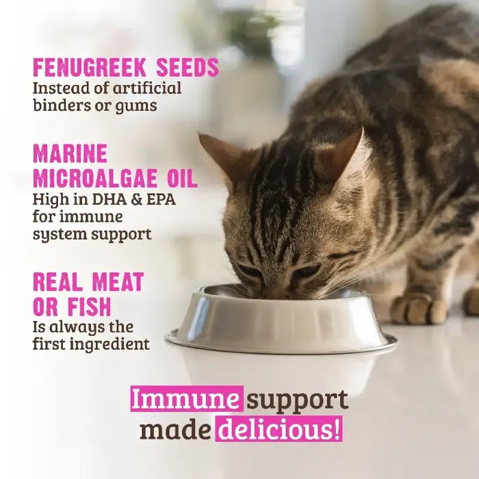 Rawz Cat Can Immune Turkey Liver Cranberry 24/5.5oz