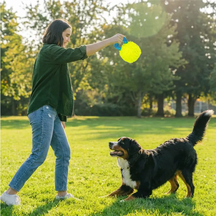 Outward Hound FlyFetch Giggle Ball yellow medium outdoor fetch lifestyle