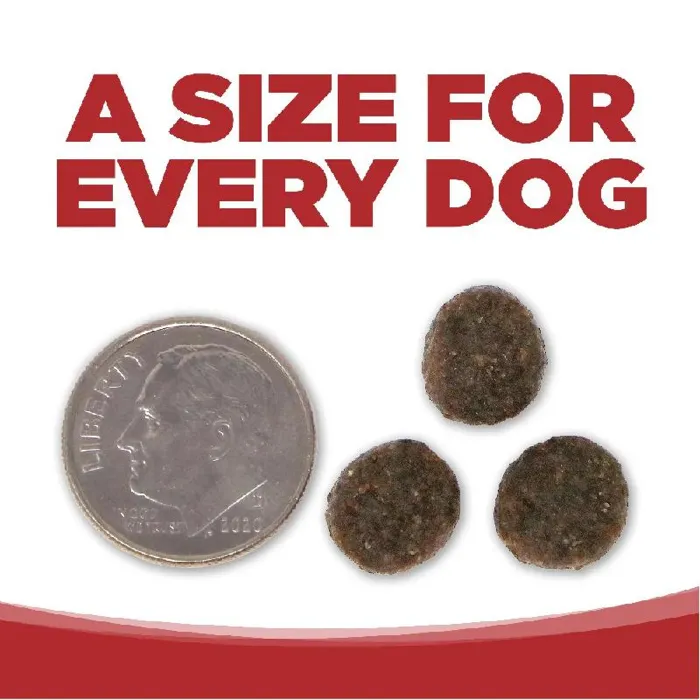 Pure Vita Dog Grain Free Beef & Red Lentils 4-lb
