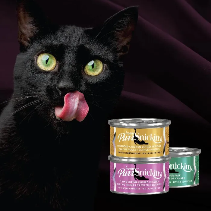 Fromm Purrsnickitty Cc 3oz/12 Tuna Shrmp In Gelee Adult