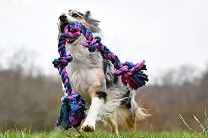 Mammoth Color 4 Knot Tug Flossy Chew Rope Large