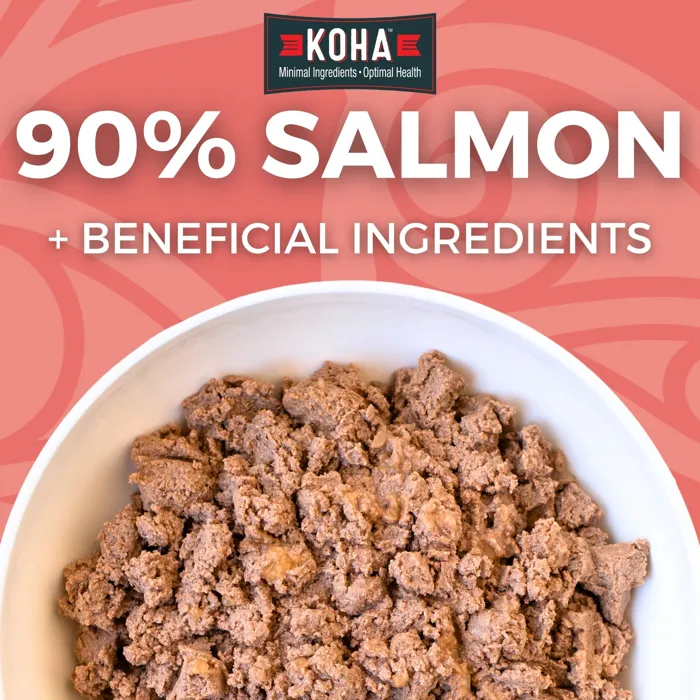 Koha L.i.d. Salmon Entree For Dogs 13-oz