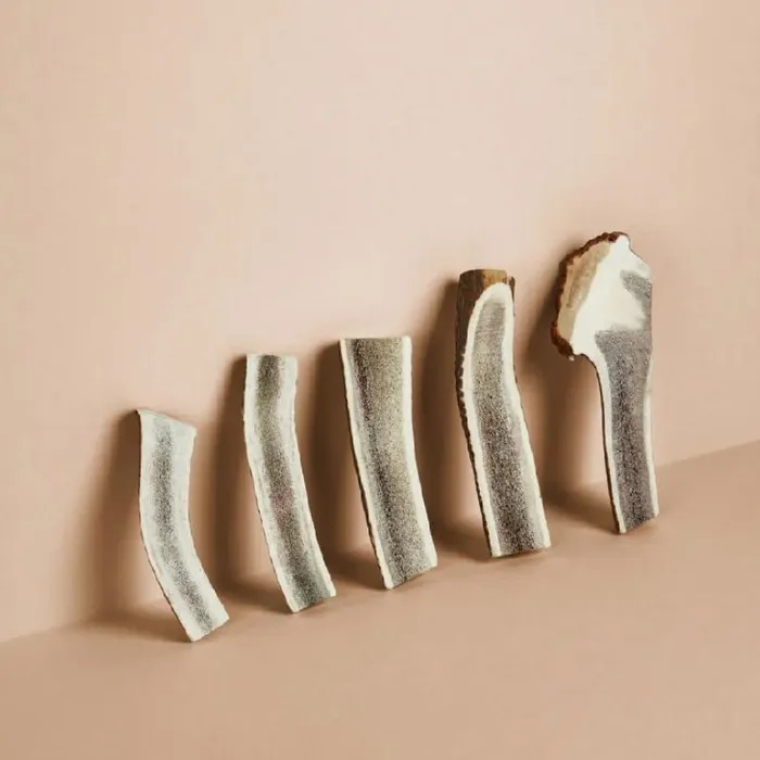 Canophera Red Deer Antler Split Small