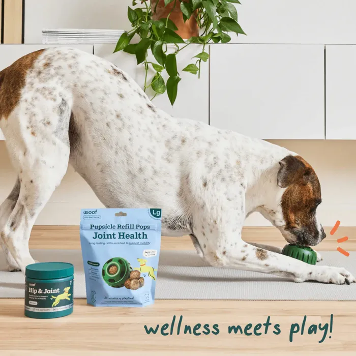Woof Pops Hip & Joint Small 6-oz