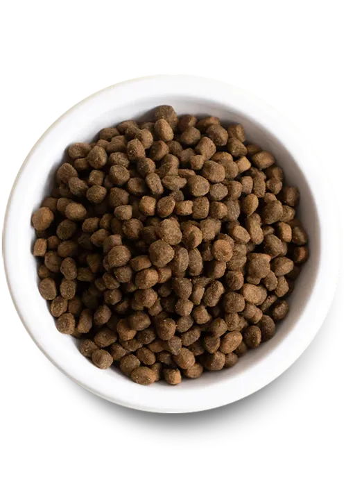 Open Farm Dog Grass Fed Beef & Ancient Grains Kibble 22-lb