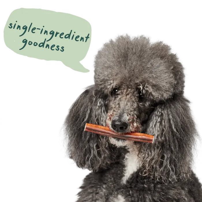 Woof Bullysafe Chew Pure Collagen 5-pack 6-in