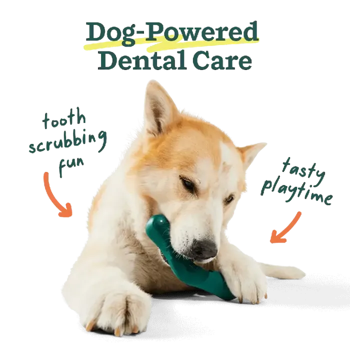 Woof Dog Toy Bite N Brush Large