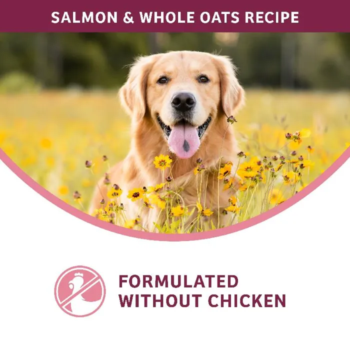 From Sensitive Skin Salmon & oats 12lb