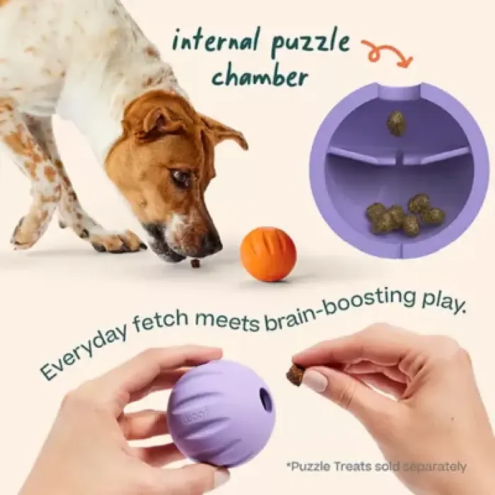 Woof Dog Toy Forager Flyball Single Orange