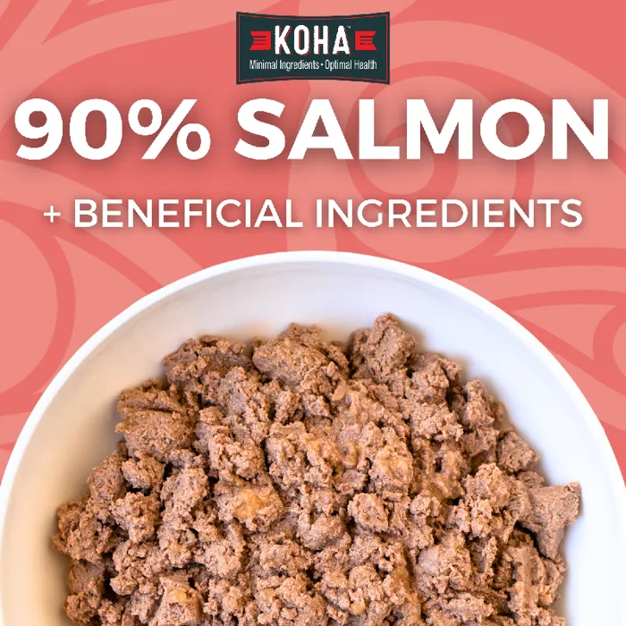 Lid Salmon Entrée Can - 13oz