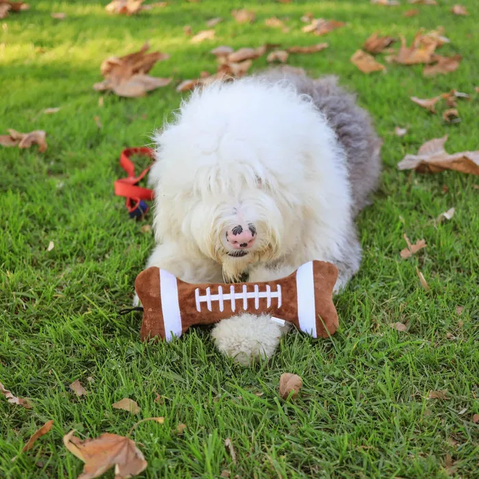Lulubelles Football Bone Large outdoor lifestyle