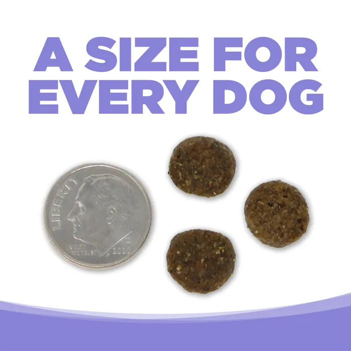 PureVita Lamb & Pumpkin Entrée kibble size comparison