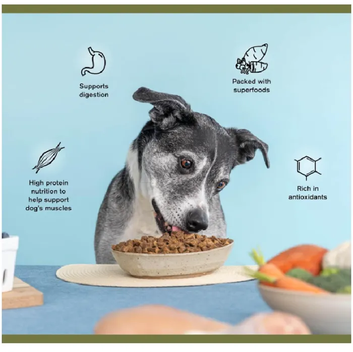 Ranch Superfood Complete Chicken Formula - 11.5oz