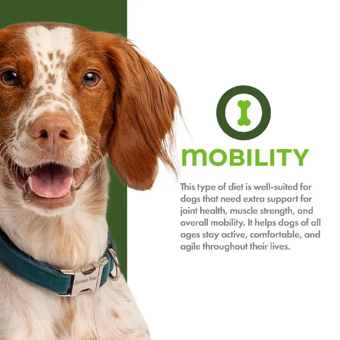 Fromm Mobility Chicken & Oat 12lb