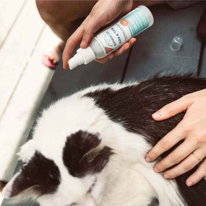 Wondercide 4 Oz Dog Cat Cedar Flea Tick & Mosquito Spray Ea