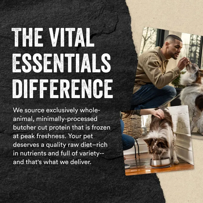 Vital Essentials Dog Duck Mini Patties 14-oz