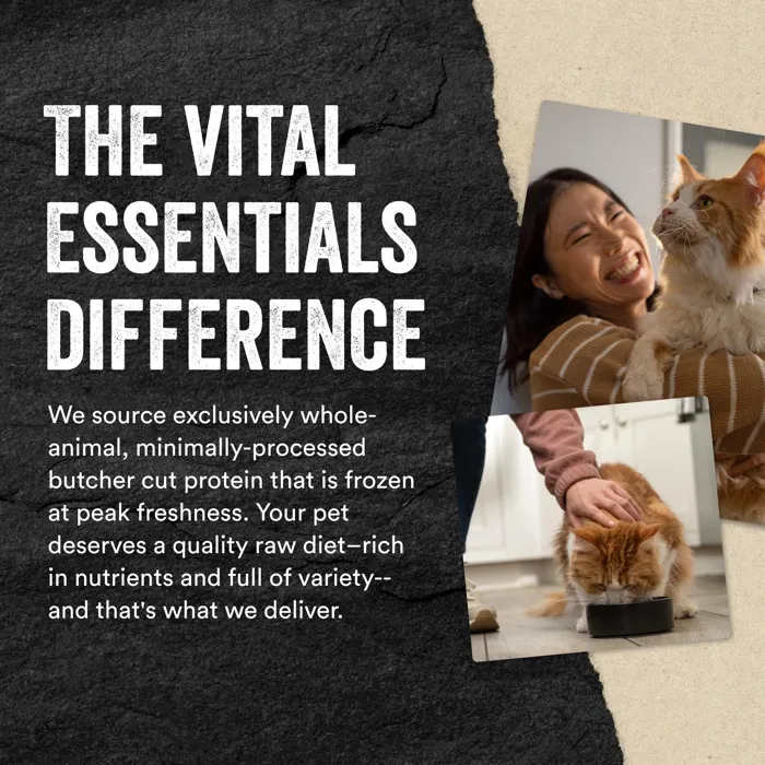 Vital Essentials Cat Pork Mini Nibs 12-oz