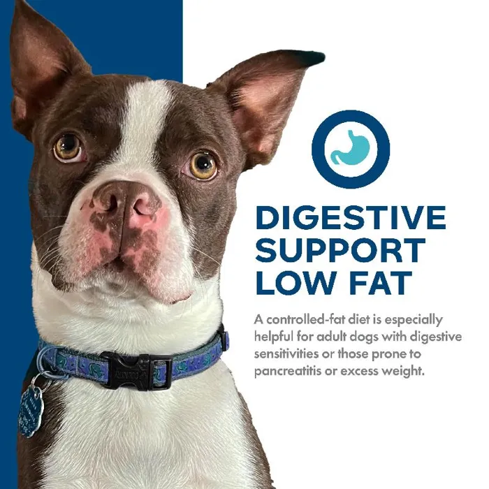 Fromm Nutritionals Dd 4lb/5 Digestive Support Low Fat Chkn