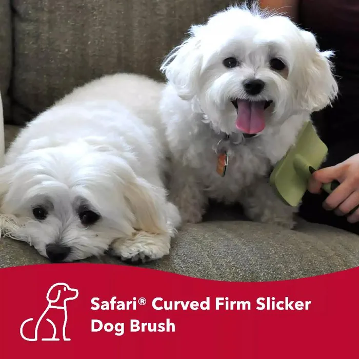 Safari Curved Firm Slicker Brush For Dogs Large