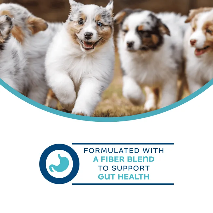 Fromm Nutritionals Digestive Functional Dog Treats fiber blend feature