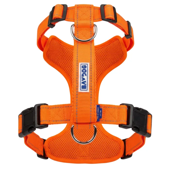 BAYDOG Chesapeake Bay Dog Harness blaze orange large back view