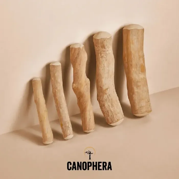 Canophera Coffee Wood Chew Small