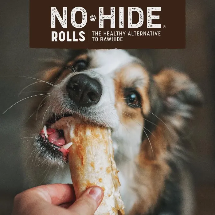 Earth Animal No-hide Chew Beef 4"