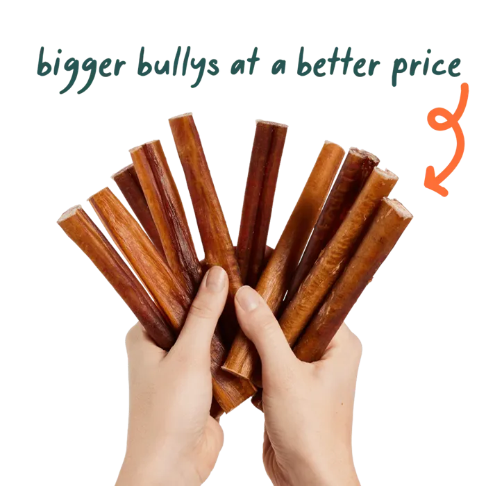 Woof Bullysafe Chew Pure Collagen 5-pack 6-in