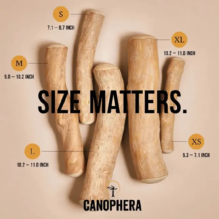 Canophera Coffee Wood Chew Small