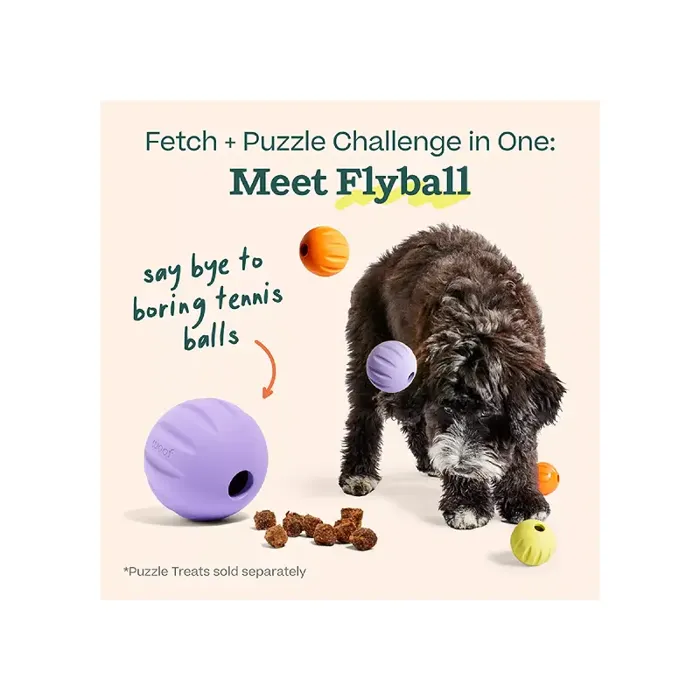 Woof Dog Toy Forager Flyball Single Lavender