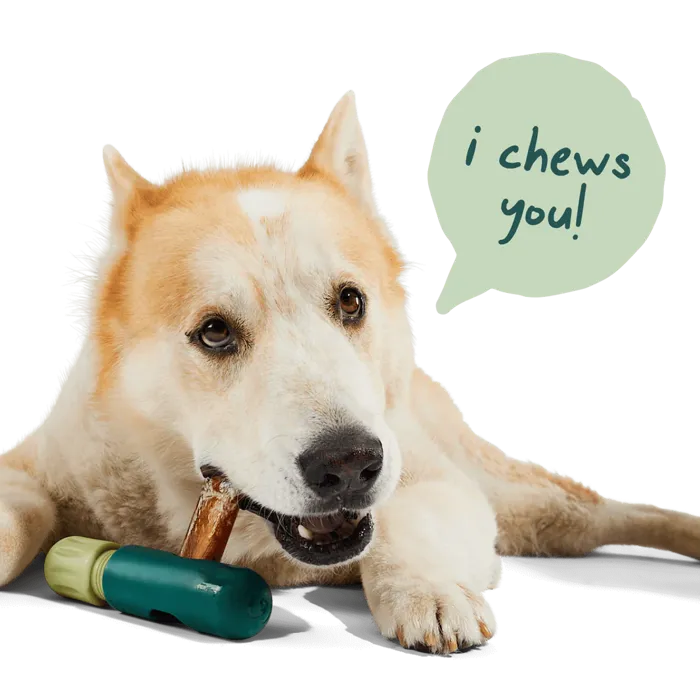 Woof Bullysafe Chew Holder Dog Toy