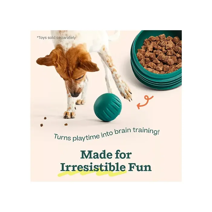 Woof Dog Treat Forager Puzzle Treats 5-oz