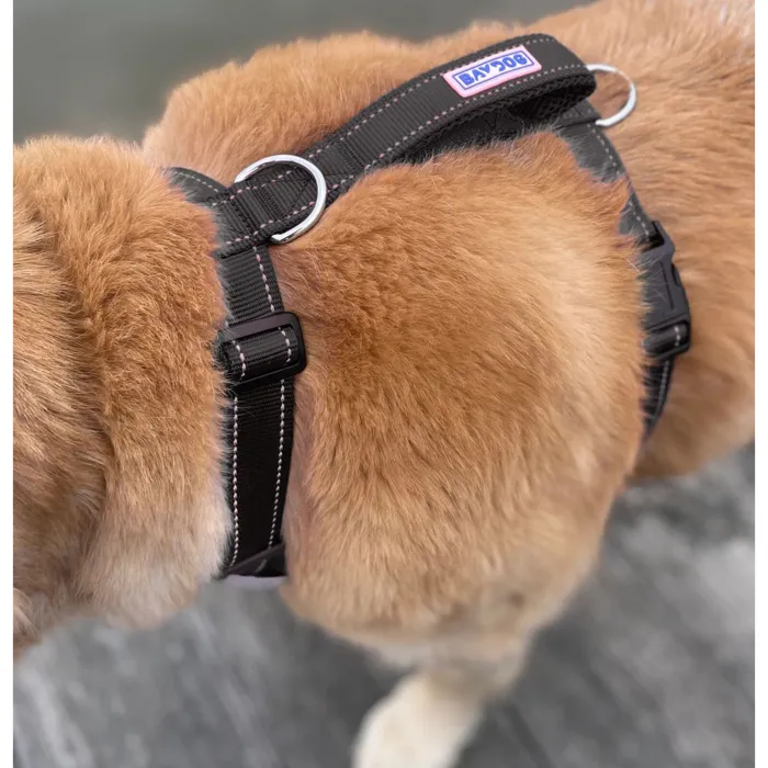 Bay Dog Chesapeake Harness black dog-worn rear view