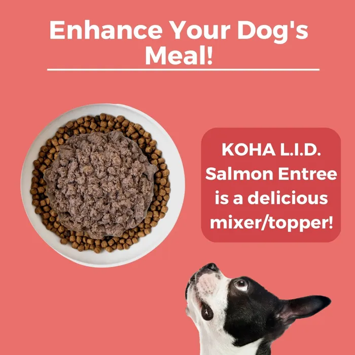 Koha L.i.d. Salmon Entree For Dogs 13-oz