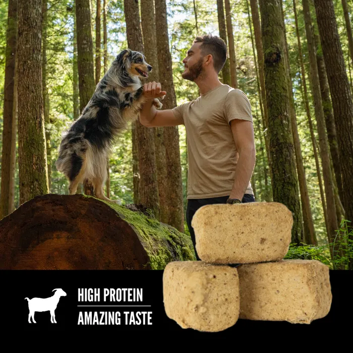 Orijen Dog Tundra Fd Treat 8oz