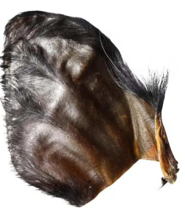 Water Buffalo Ears W/hair 50pc 3606h50 Qt Dog 12/cs