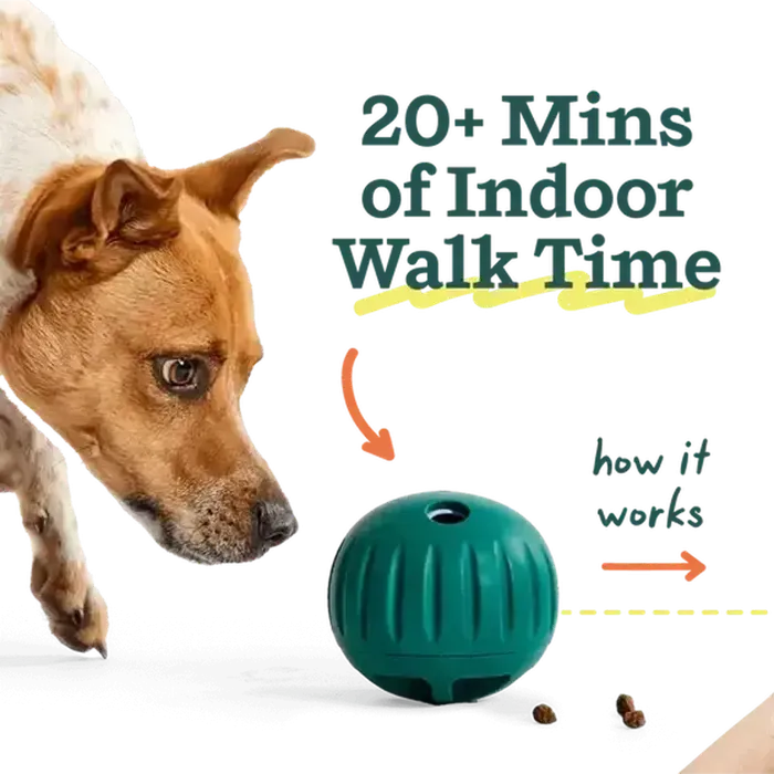 Woof Dog Toy Forager Walkabout Small