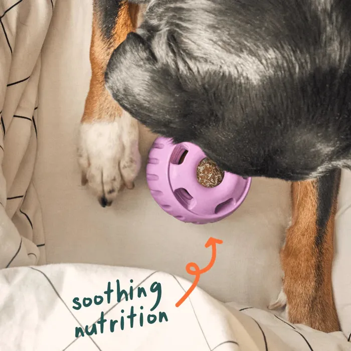 Woof Pops Beef Calming Xl 12-oz