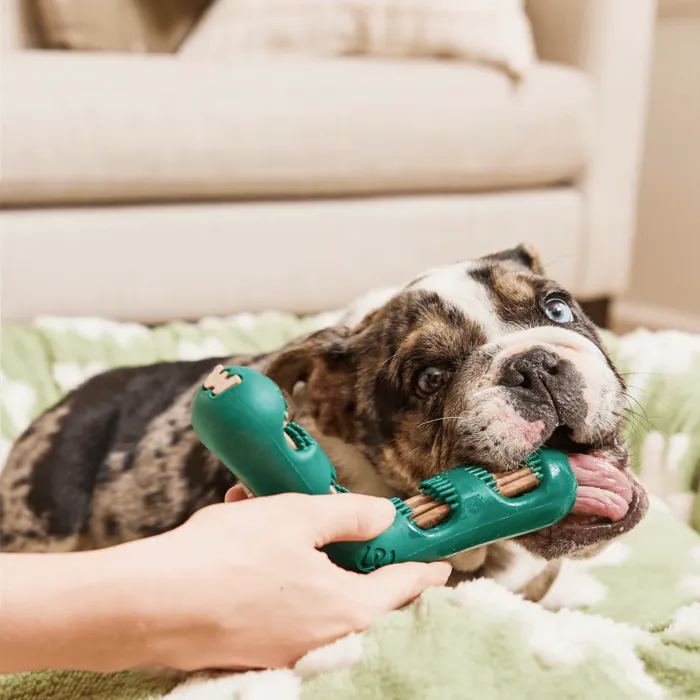 Woof Dog Toy Bite N Brush Large