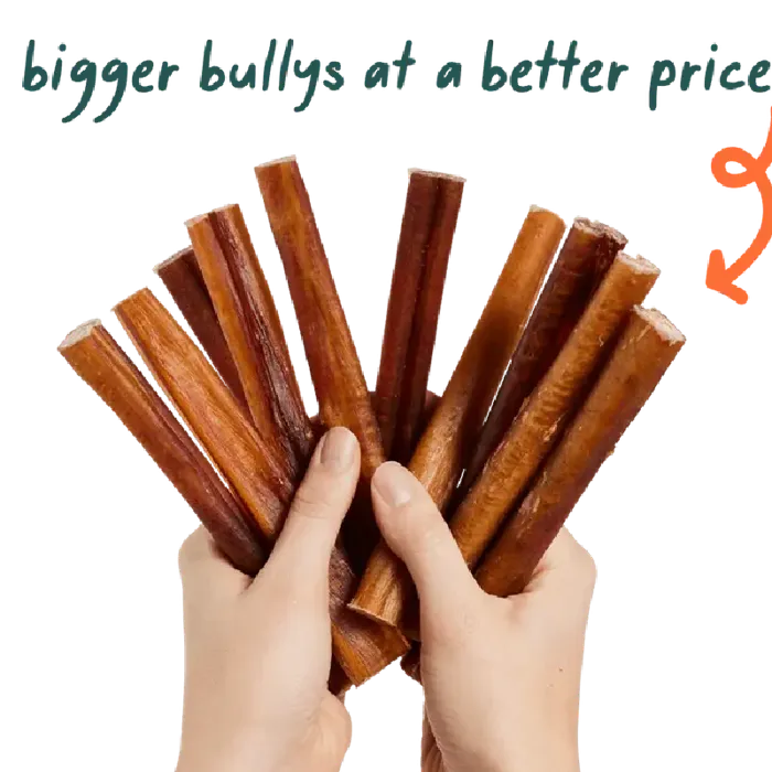 Woof Long Lasting Bully Stick 6" 5-pk