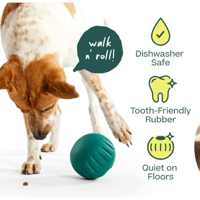 Woof Forager Walkabout Large