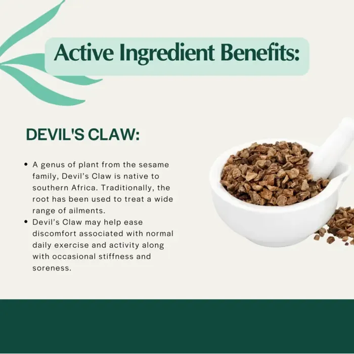 Pet Releaf Hip & Joint Releaf 600mg Oil