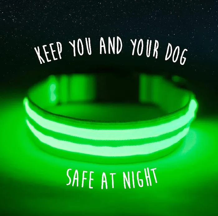 Mighty Paws Led Dog Collar Lg Green