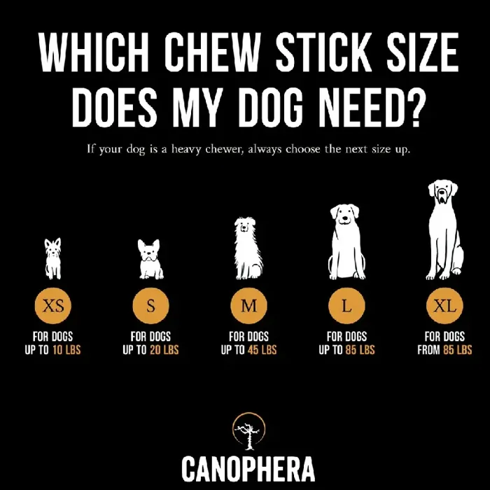 Canophera Coffee Tree Wood Chews Xl